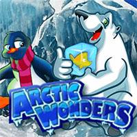 Arctic Wonders